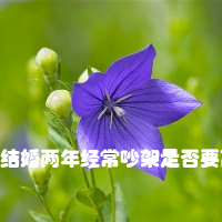 结婚两年经常吵架是否要离婚