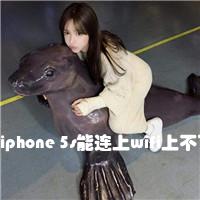 iphone 5s能连上wifi上不了网是什么情？