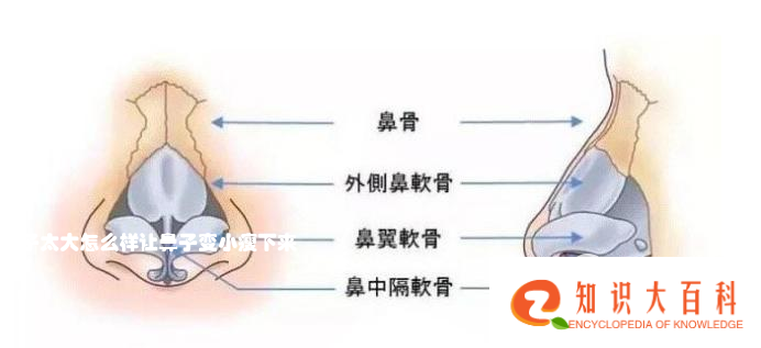 鼻子太大怎么样让鼻子变小瘦下来