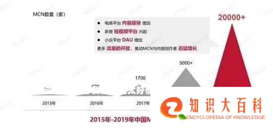 直播电商运营黑幕曝光: 我们实在太好骗了