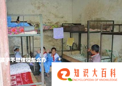 孩子不想住校怎么办