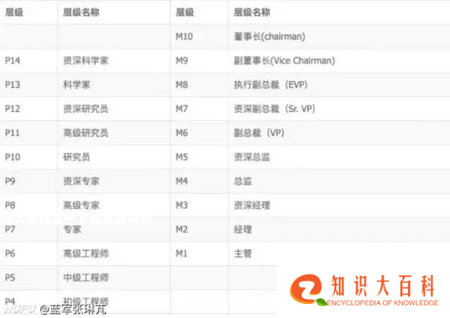 给大家科普一下阿里的职级