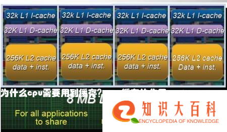 为什么cpu需要用到缓存？cpu缓存的作用