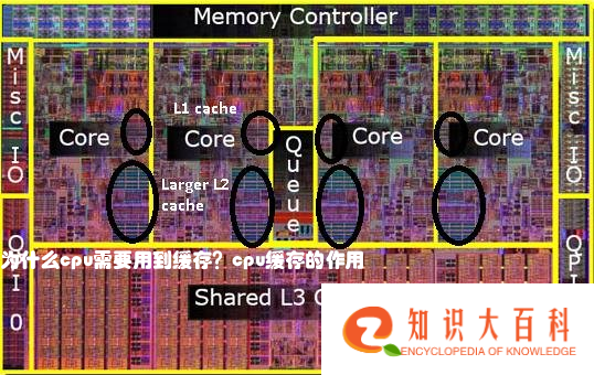 为什么cpu需要用到缓存？cpu缓存的作用