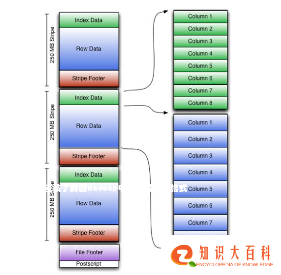 大数据新人应该了解的Hadoop中的各种文件格式