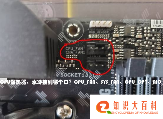 CPU散热器、水冷接到哪个口？CPU_FAN、SYS_FAN、CPU_OPT、AIO_PUMP是什么接口？