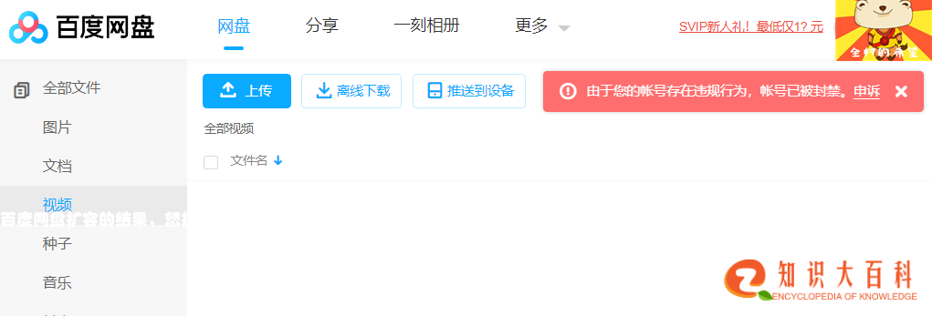 百度网盘扩容的结果，想扩容的一定要避免