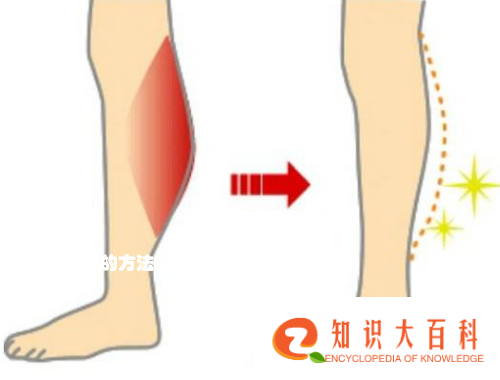 8个自然瘦腿的方法