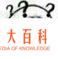 直播电商就是20年前的电视购物？别开玩笑了