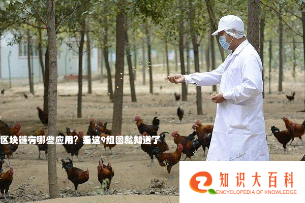 人民网：区块链有哪些应用？看这9组图就知道了