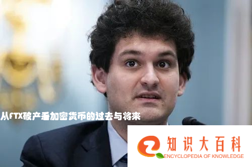 FTX创始人Sam Bankman Fried曾被认为是加密货币的希望之星