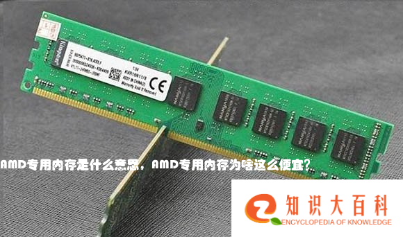 AMD专用内存是什么意思，AMD专用内存为啥这么便宜？